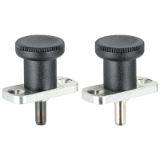 EH 22120. - Index Plungers with screwed flange / with locking